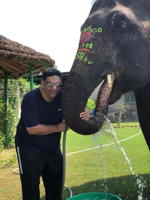 Jaipur: Elephant Interaction Tour - Walking With Elephants in the Village (No Riding)