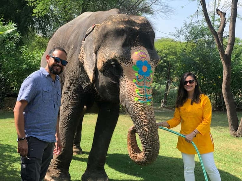 Jaipur: Elephant Interaction Tour - Hotel Pickup, Then Elephant Village Time