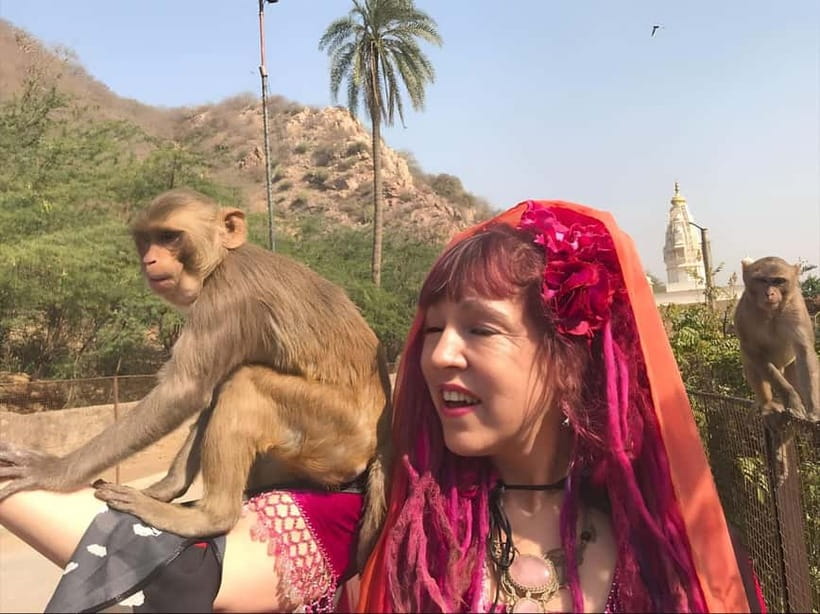 Jaipur: Explore City Sights, Amber Fort & Monkey Temple - Panna Meena ka Kund stepwell and Jal Mahal from the road