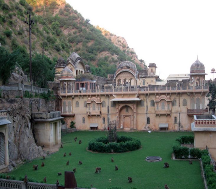 Jaipur: Full-Day City Tour with Camel Ride and Monkey Temple - Key highlights at a glance