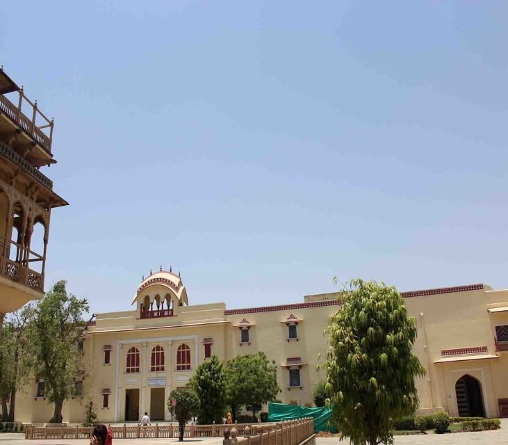 Jaipur: Full-Day City Tour with Camel Ride and Monkey Temple - A 9-hour Jaipur remix that actually makes sense