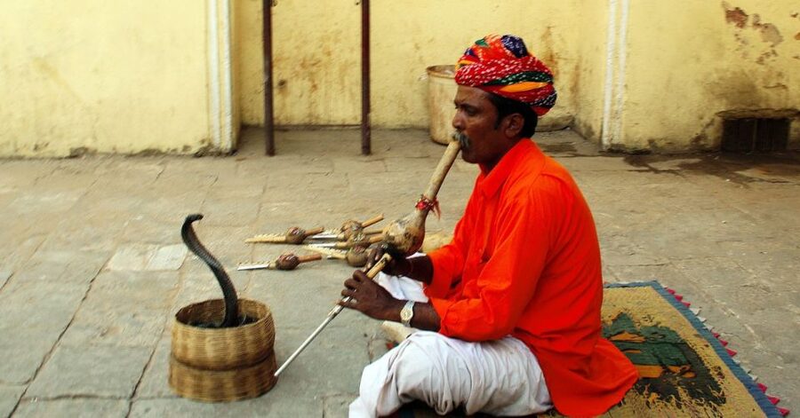 Jaipur: Full-Day Private City Tour by Car with Guide - Private Jaipur Sightseeing With an AC Car and a Government-Approved Guide