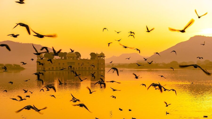 Jaipur: Full-Day Private Sightseeing Tour by Tuk Tuk - Gaitor Ki Chhatriyan: a quieter stop for photos and pace
