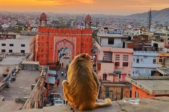 Jaipur Full Day Tour By Car And Guide With Hotel Pickup - Amer Fort First: A Strong Opening in the Pink City Circuit