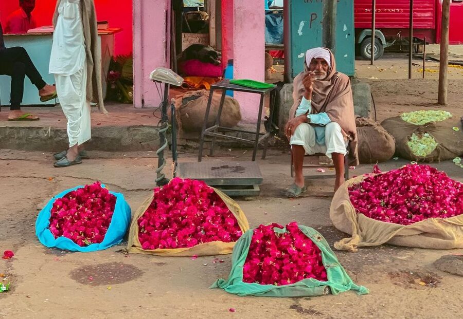 Jaipur: Half-Day Guided Sightseeing Tour with Flower Market - A tight, well-paced Jaipur plan starting at 7:00 AM