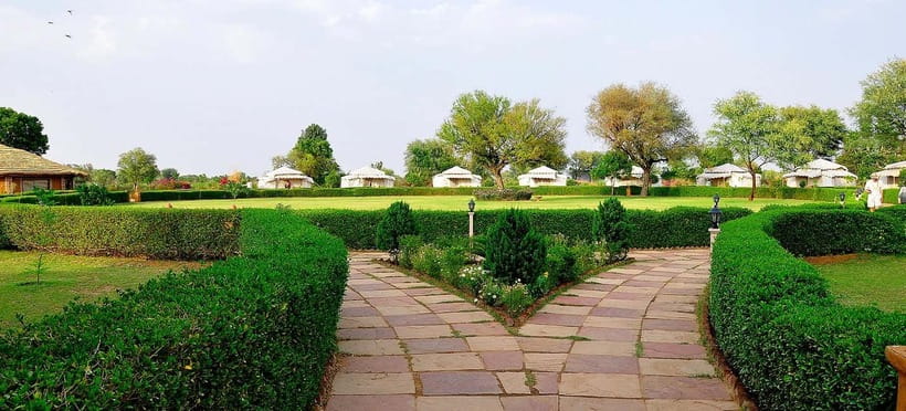 Jaipur: Haunted Bhangarh Fort and Abhaneri Stepwell Day Trip - Should you book this Jaipur to Abhaneri and Bhangarh day trip?