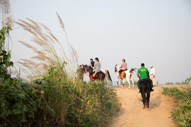 Jaipur Horse Riding Adventure - Marwari Horse Safari in Jaipur: what you actually get