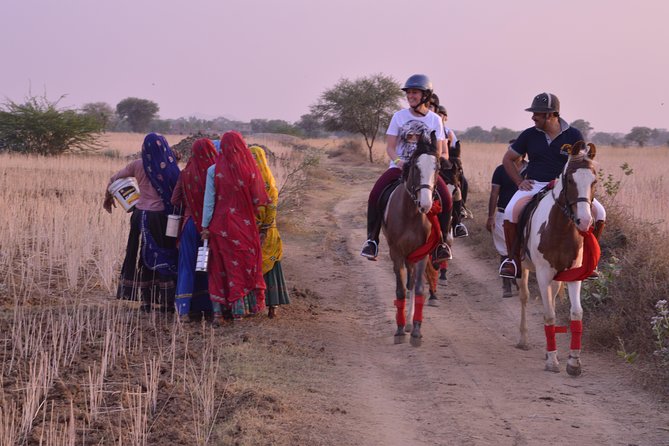 Jaipur Horse Riding Adventure - Price and value: what $166.56 includes, and what to budget