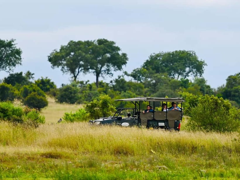 Jaipur: Jhalana Amagarh Leopard Reserve 4×4 Jeep Safari - Hotel pickup and the AC ride: the part that saves your day