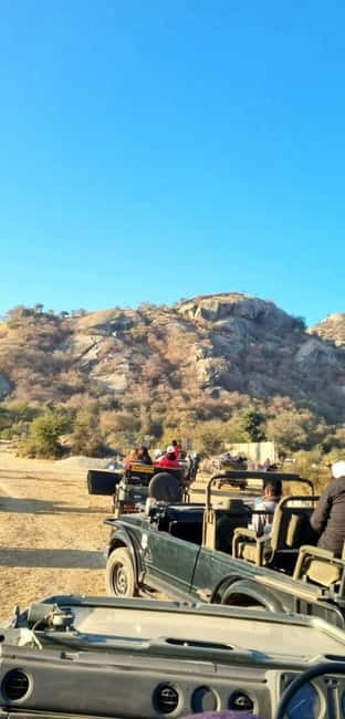 Jaipur: Jhalana Amagarh Leopard Reserve 4×4 Jeep Safari - Best timing in winter: early morning cold vs afternoon chances