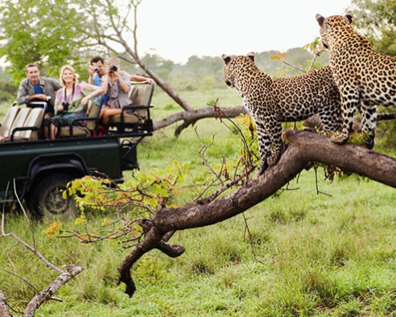 Jaipur: Jhalana/Amargarh Leopard Safari Private Tour - Photo stops and view points: when the guide buys you better odds