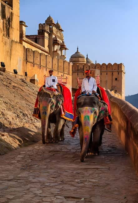 Jaipur: Personalized Full-Day City Tour by Car with Options - Lunch choices that fit a long day in Rajasthan
