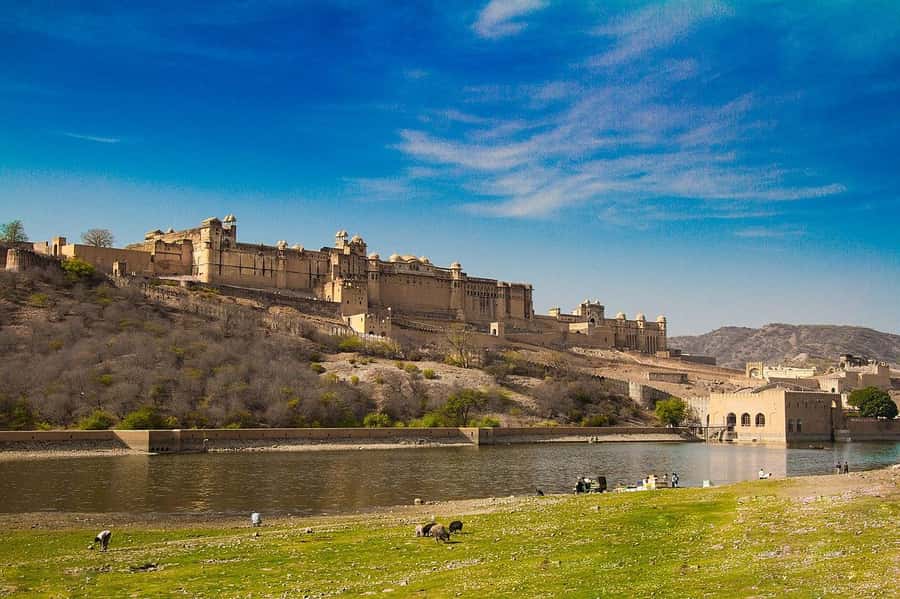 Jaipur: Private Full-Day Sightseeing Tour by Tuk-Tuk - The Pink City Street Walk: Where the Day Turns Human