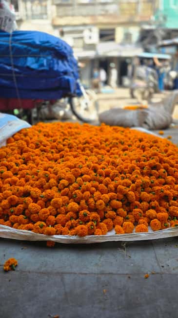 Jaipur: Private Guided Half Day & Full Day Tour in Jaipur - Price and Value at a Budget Point