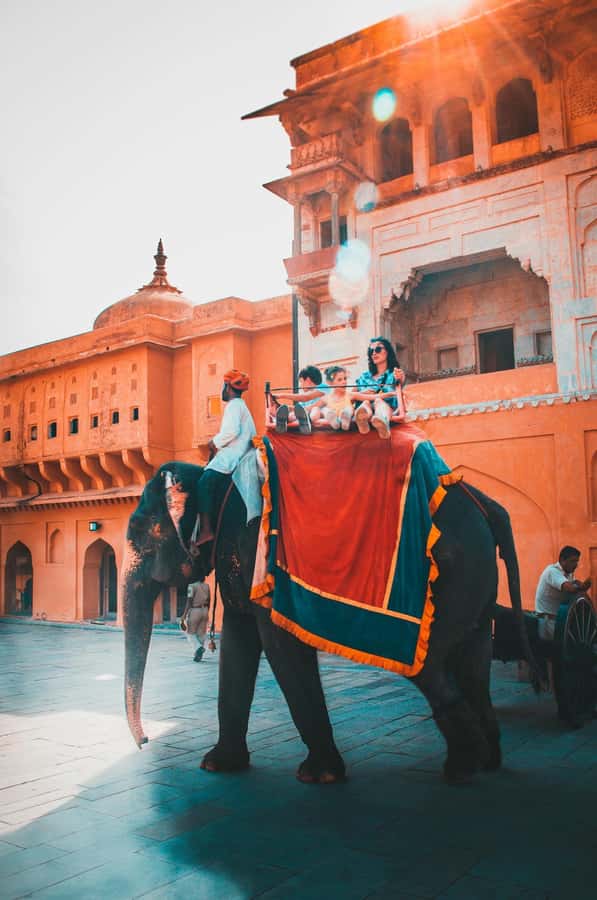 Jaipur: Private PinkCity & Stepwell Heritage Tour with Guide - Key Highlights to Watch For