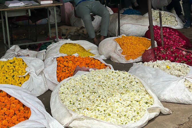 Jaipur: Shopping Tour with Blue Poetry & Printing Workshop & Rugs - Blue Pottery and the Design Logic of Jaipur Color