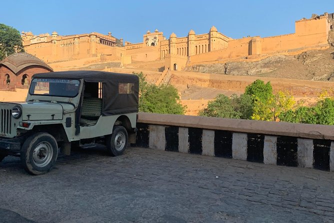 Jaipur Sightseeing By Car, Driver and Guide - Price and value: what $60 really buys you