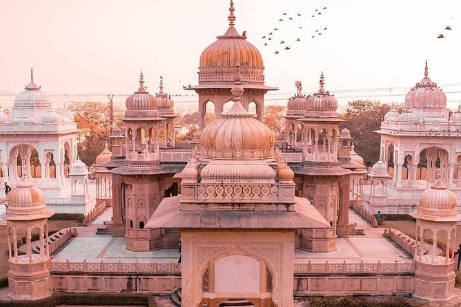 Jaipur Sightseeing - Price and logistics: what $39.14 gets you (and what it does not)
