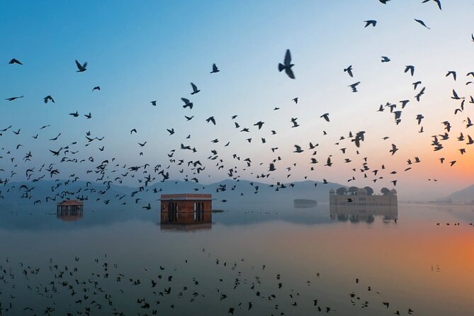 Jaipur Sunrise Tour with Morning Flower Market Walk - Pickup, Timing, and How the 4-Hour Schedule Really Works