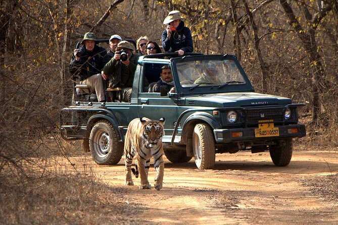 Jaipur to Ranthambore National Park Private One Day Trip - Getting into Ranthambore: identification check and your gypsy setup