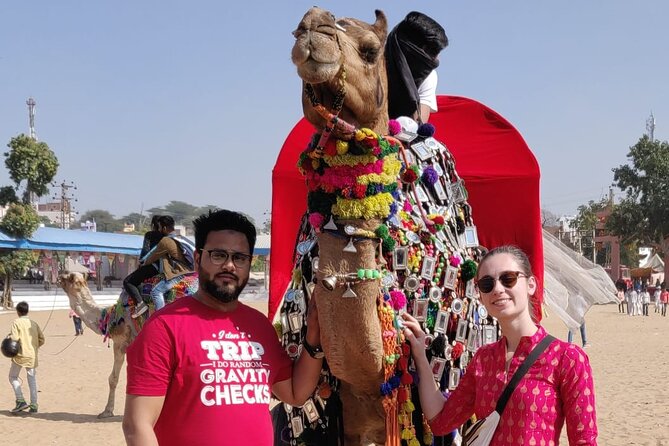 Jaipur Tour By Car & Guide - Private Full Day Sightseeing with Tickets - Stop 2: Monkey Temple for a quick, fun break