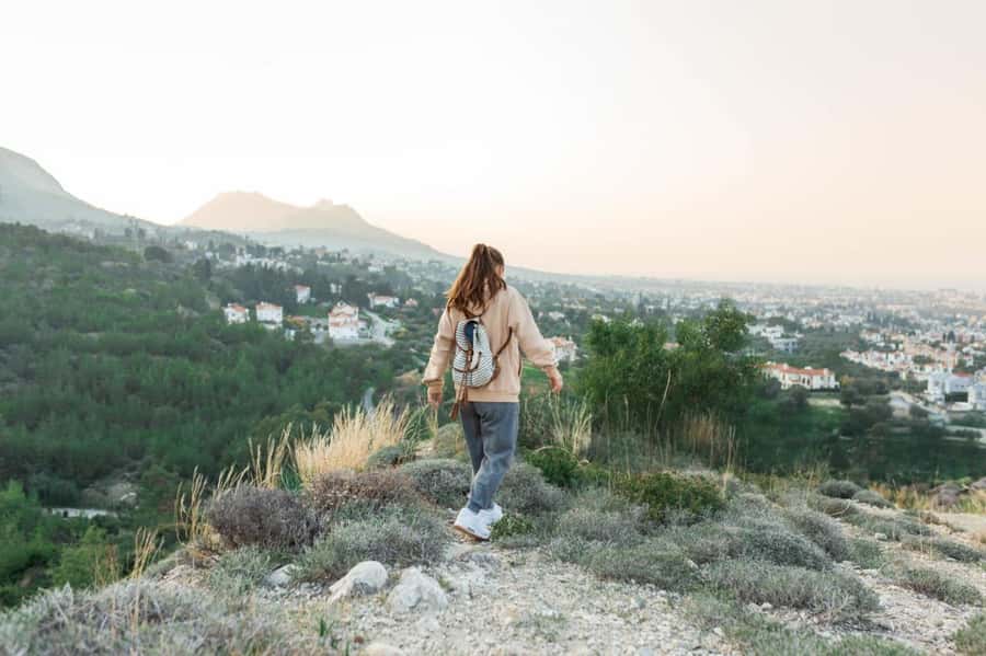 Jaipur: Tour with Nahargarh Sunrise or Monkey Temple Sunset - Panna Meena Stepwell: calm geometry before or after the big views