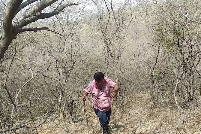 Jaipur Trekking and Hiking Tour with Guide - Who This Jaipur Sunrise Trek Is Best For