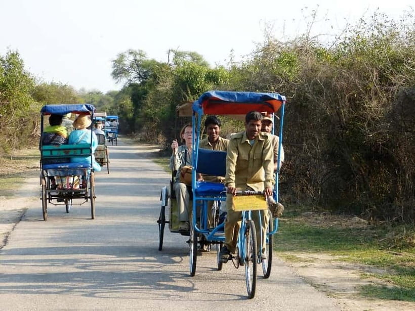 Keoladeo National Park Tickets and Guided Tour - Guided Rickshaw vs Walk-and-Explore: Picking Your Style