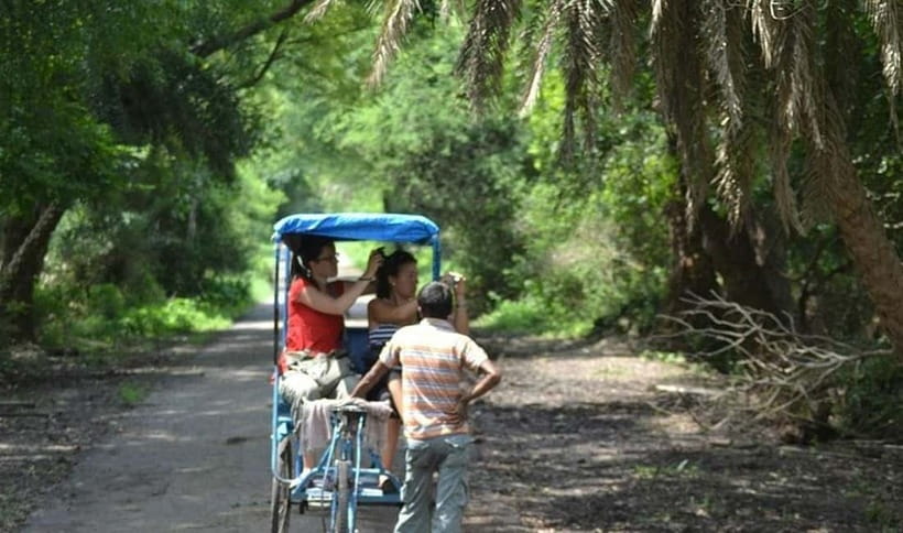 Keoladeo National Park Tickets and Guided Tour - Price and Value at Around $43 for a Private 3-Hour Safari