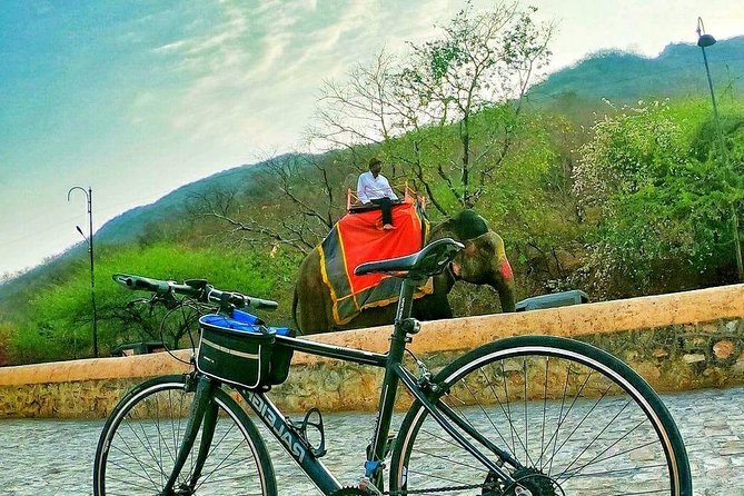 Nahargarh Cycle Tour in Jaipur - The Aravalli climb: geared effort with real views coming