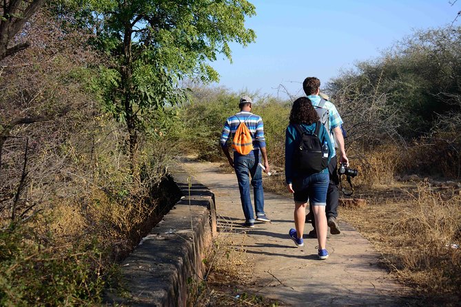 Nahargarh Water Walk - Guided 2-Hour Heritage Tour in Jaipur - Water, Jaipur, and Nahargarh Fort: why this walk matters