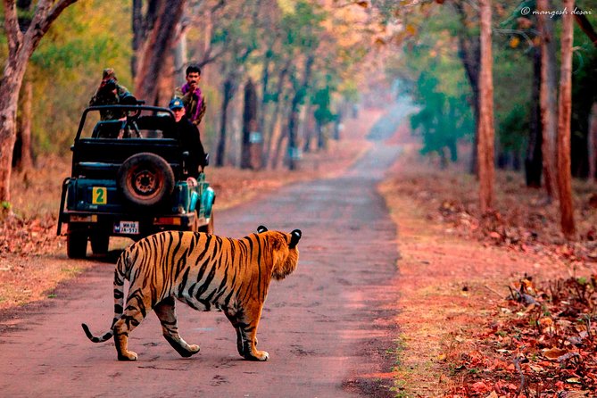 One Way Transfer Jaipur to Sawai Madhopur Hotels In AC Vehicle - The AC Car and Professional Driver, Comfort That Matters