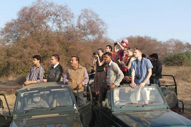 Private 4-Day Wildlife & Taj Mahal Tour from Jaipur to Delhi - Day 1 in Ranthambore: Fort Time and a Real Safari Window