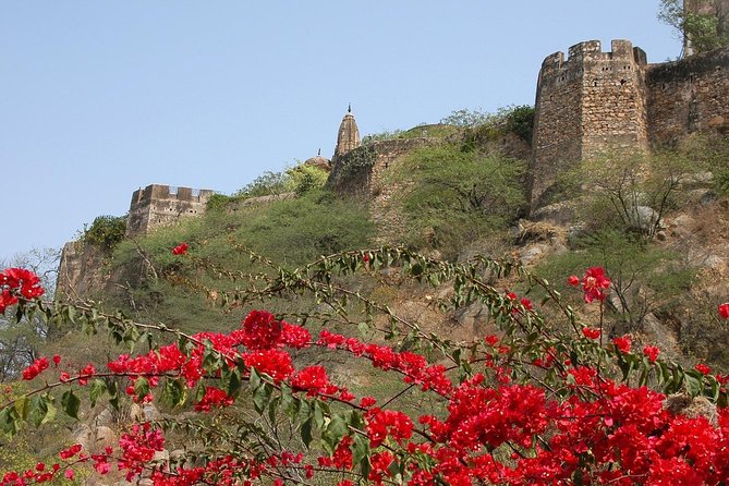 Private 6 Hours: Jaipur Temples Tour - Key highlights worth planning for