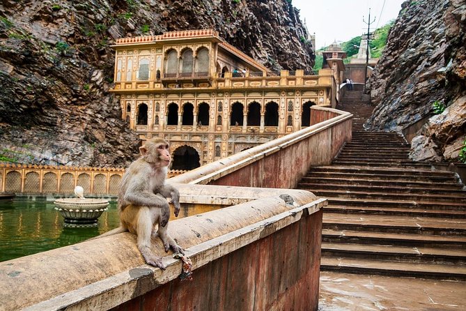 Private 6 Hours: Jaipur Temples Tour - Galtaji Temple: seven holy springs in the Aravalli hills