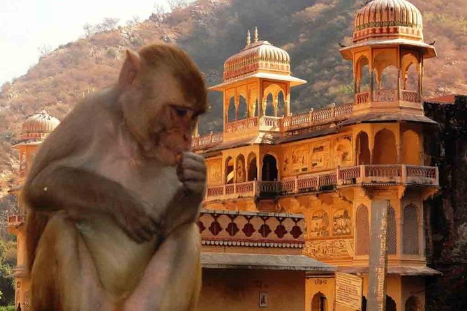 Private Day Trip to Abhaneri Stepwell & Monkey Temple from Jaipur - Chand Baori and Abhaneri’s stepwell maze
