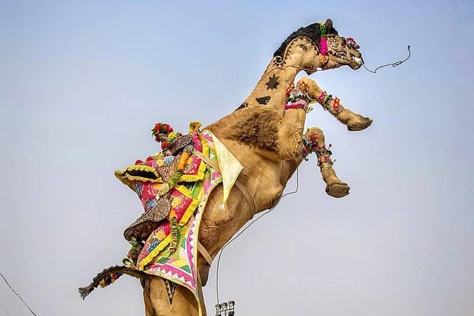 Private Full Day Jaipur Sightseeing Tour By Tuk-Tuk (Rickshaw) - A private tuk-tuk day in Jaipur, not a rushed bus tour