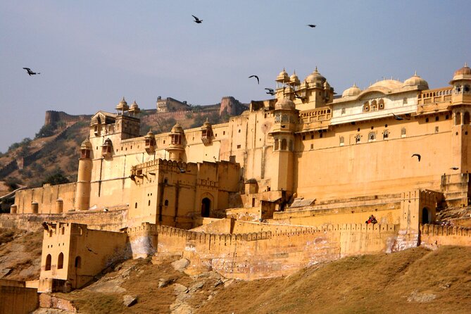 Private Full Day Tour of Jaipur - Lunch, shopping time, and how to pace your day
