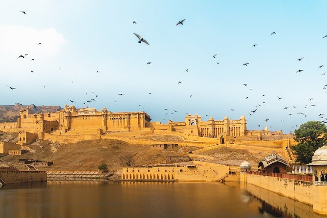 Private Guided Half Day Tour Jaipur - Panna Meena ka Kund: a short stop with real personality