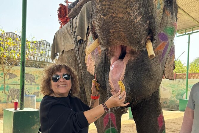 Private Jaipur Day Tour with Driver and Guide- All Inclusive - What the itinerary means for your time and energy