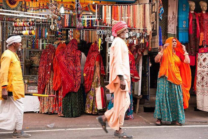 Pushkar Day Trip from Jaipur – Private Car, Safari, Guide & Lunch - Pushkar Lake and ghats: the pilgrimage center in one glance