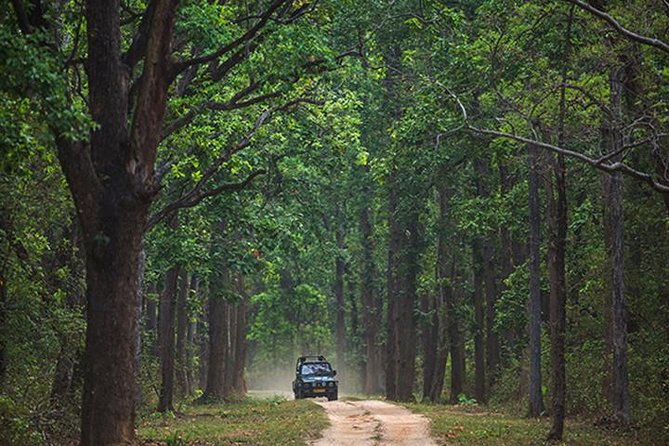Safari In Jhalana Leopard Conservation Reserve, Jaipur - Entering Jhalana Leopard Conservation Reserve, From a Big-City Gate