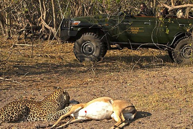 Safari In Jhalana Leopard Conservation Reserve, Jaipur - The Ride: What an Open-Air Jeep Safari Feels Like