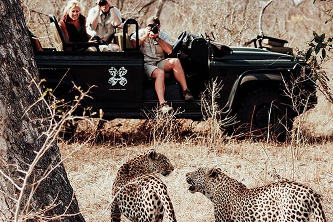Safari In Jhalana Leopard Conservation Reserve, Jaipur - Your 2.5-Hour Safari Windows in Jaipur (Morning and Afternoon)