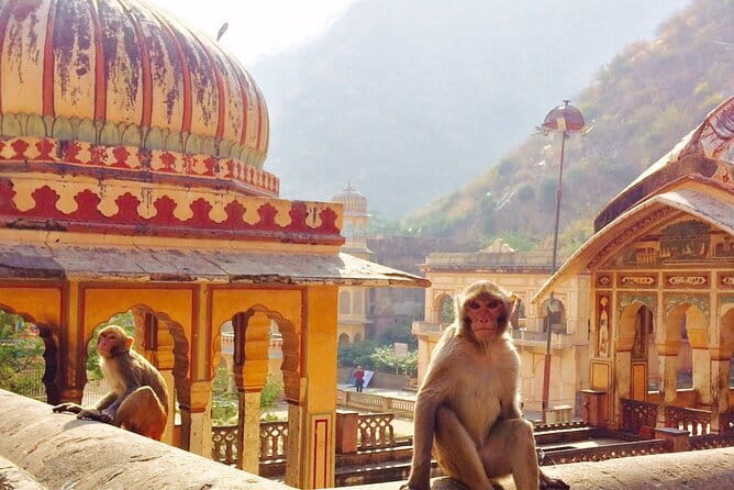 Travel Through the Streets of Jaipur by Tuktuk with a Local - Hotel Pickup, Timing, and the Real Benefit of Flexibility