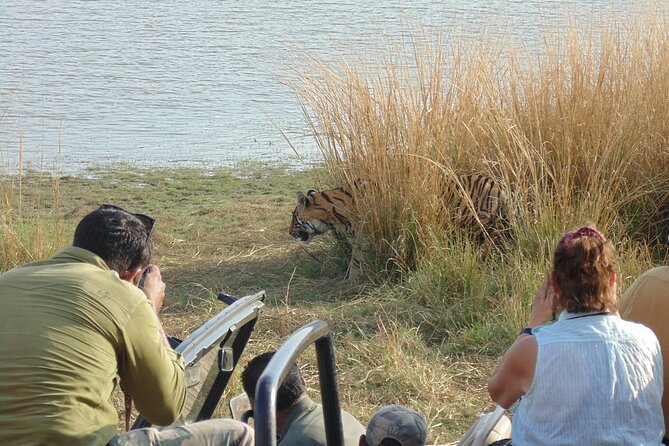 Two Night Safari Experience Ranthambore National Park &Transfers - Why This Ranthambore Package Lets You Pick Your Own Hotel