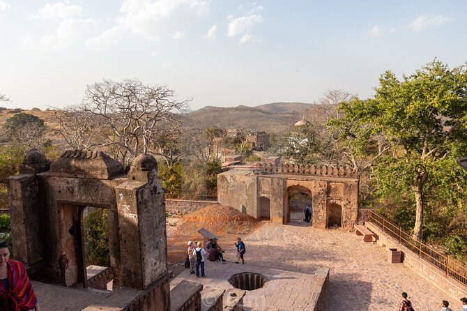 Two Night Safari Experience Ranthambore National Park &Transfers - Price and Value at About $283.70 per Person