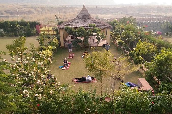 Yoga In Jaipur - The Included Tea, Snacks, and Drinks Actually Change the Mood