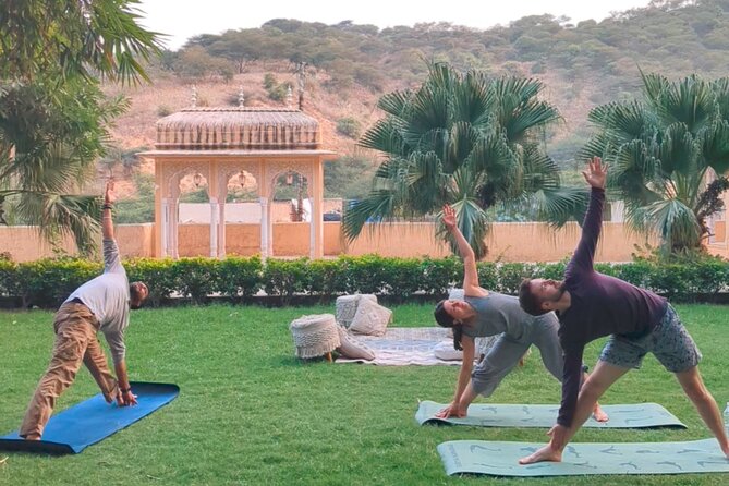 Yoga in Jaipur with Amit (Yogi on Travel) - Starting near Jaipur International Airport, then a park-style yoga moment